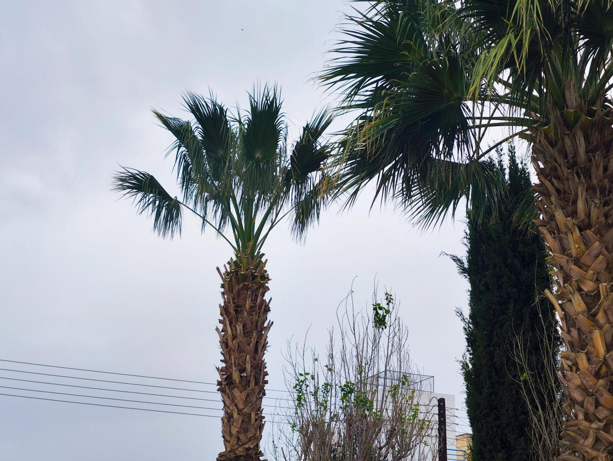 Sunset Green 01 Paphos 外观 照片
